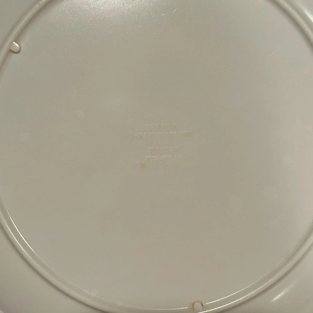 Lot of 2 Vintage Graduating Melmac Rainboware Children’s Plates